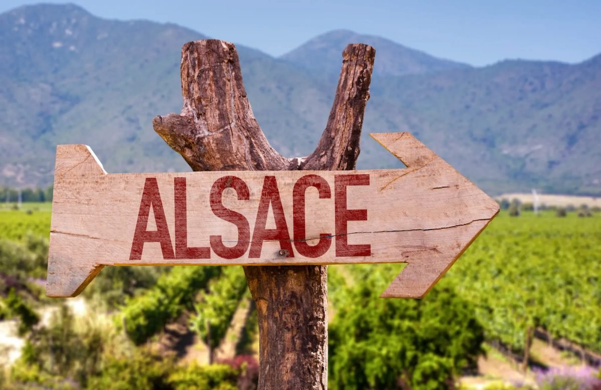 Panneau « Alsace » devant le vignoble alsacien
